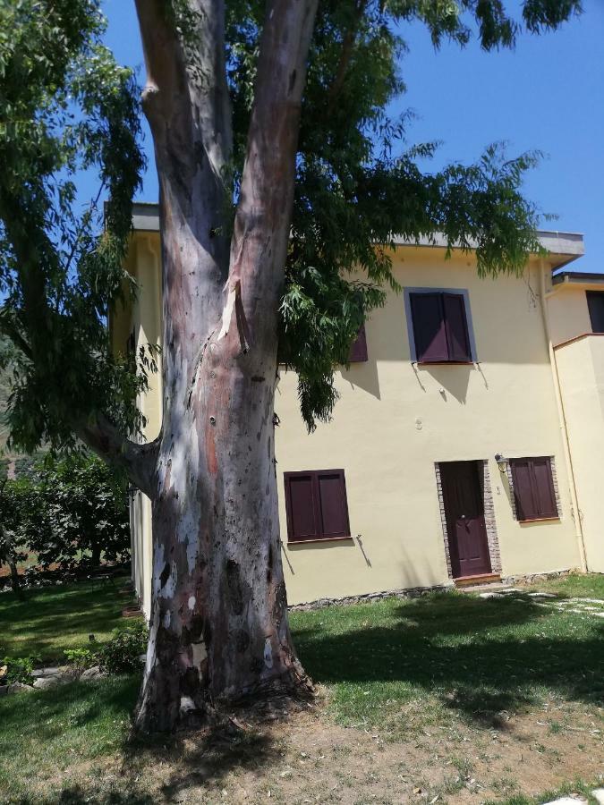Agriturismo Le Folaghe Terracina Ngoại thất bức ảnh